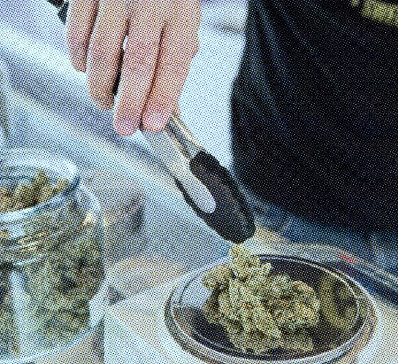 budtender weighing cannabis flower