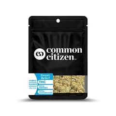 Common Citizen Animal Sorbet Hybrid flower