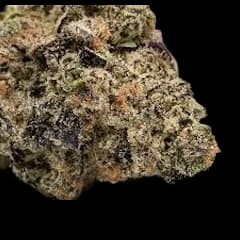 Freedom Green Farms Runtz Revenge Hybrid flower