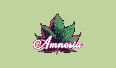 Amnesia