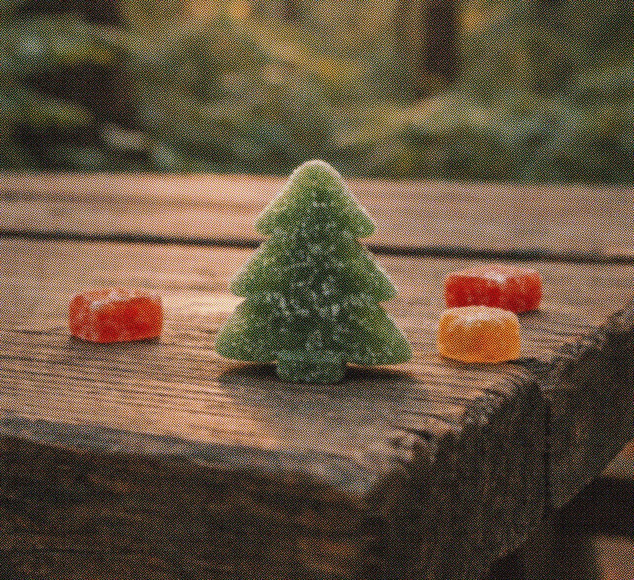 image of friends camping