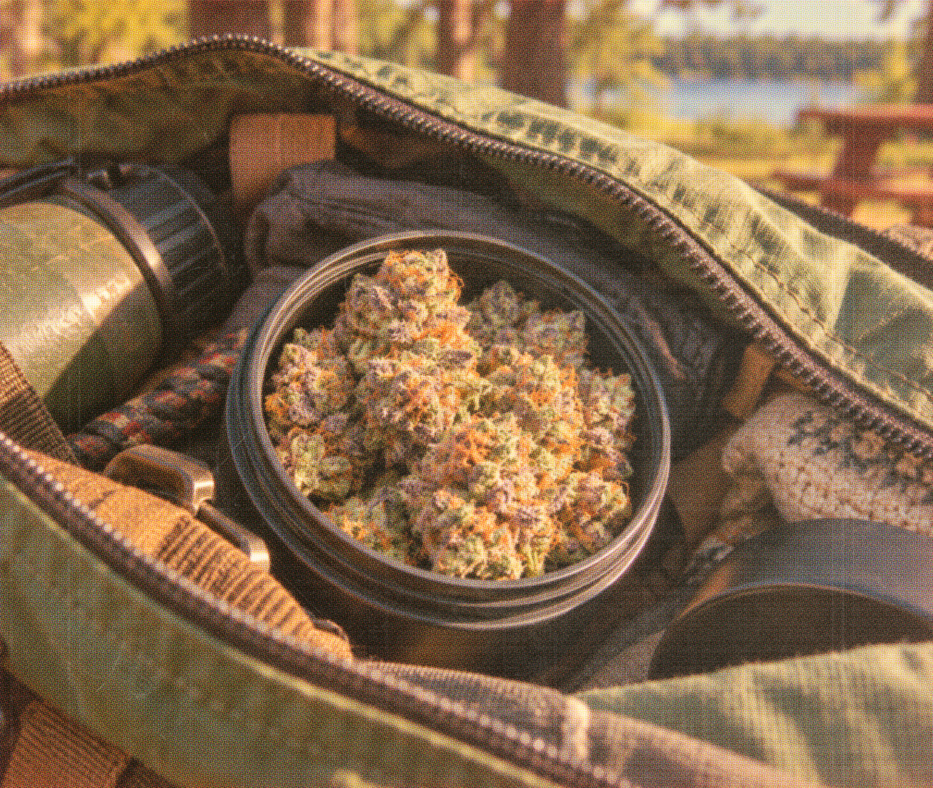 Jar of Gushers buds inside an open green backpack